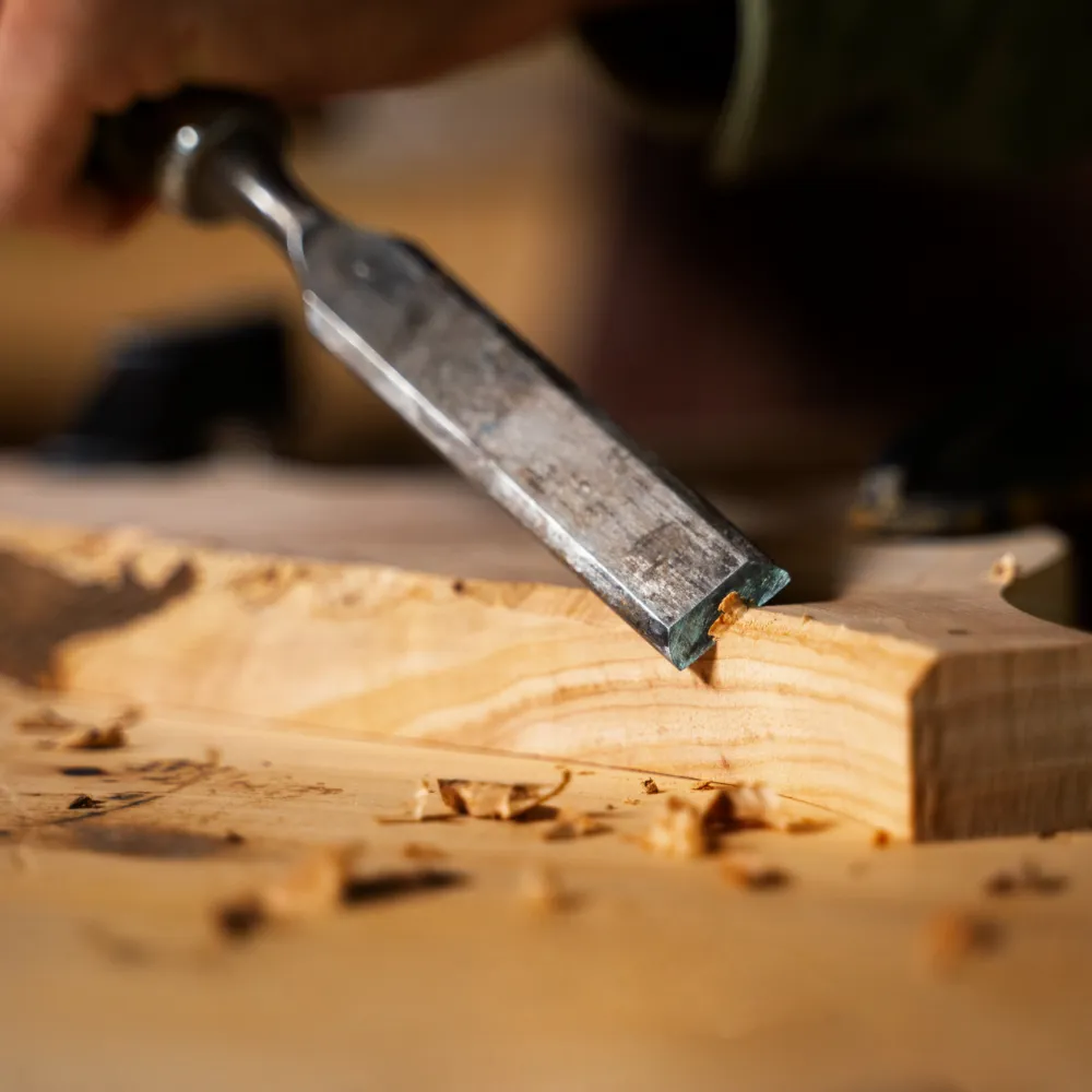 Barn Owl - Infrastructure 5