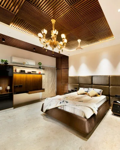 Barn owl - Dheena's Abode